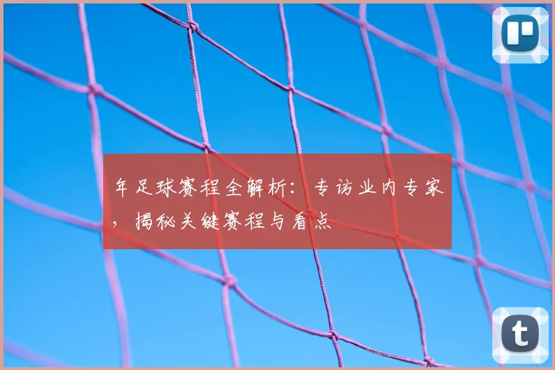 年足球赛程全解析：专访业内专家，揭秘关键赛程与看点